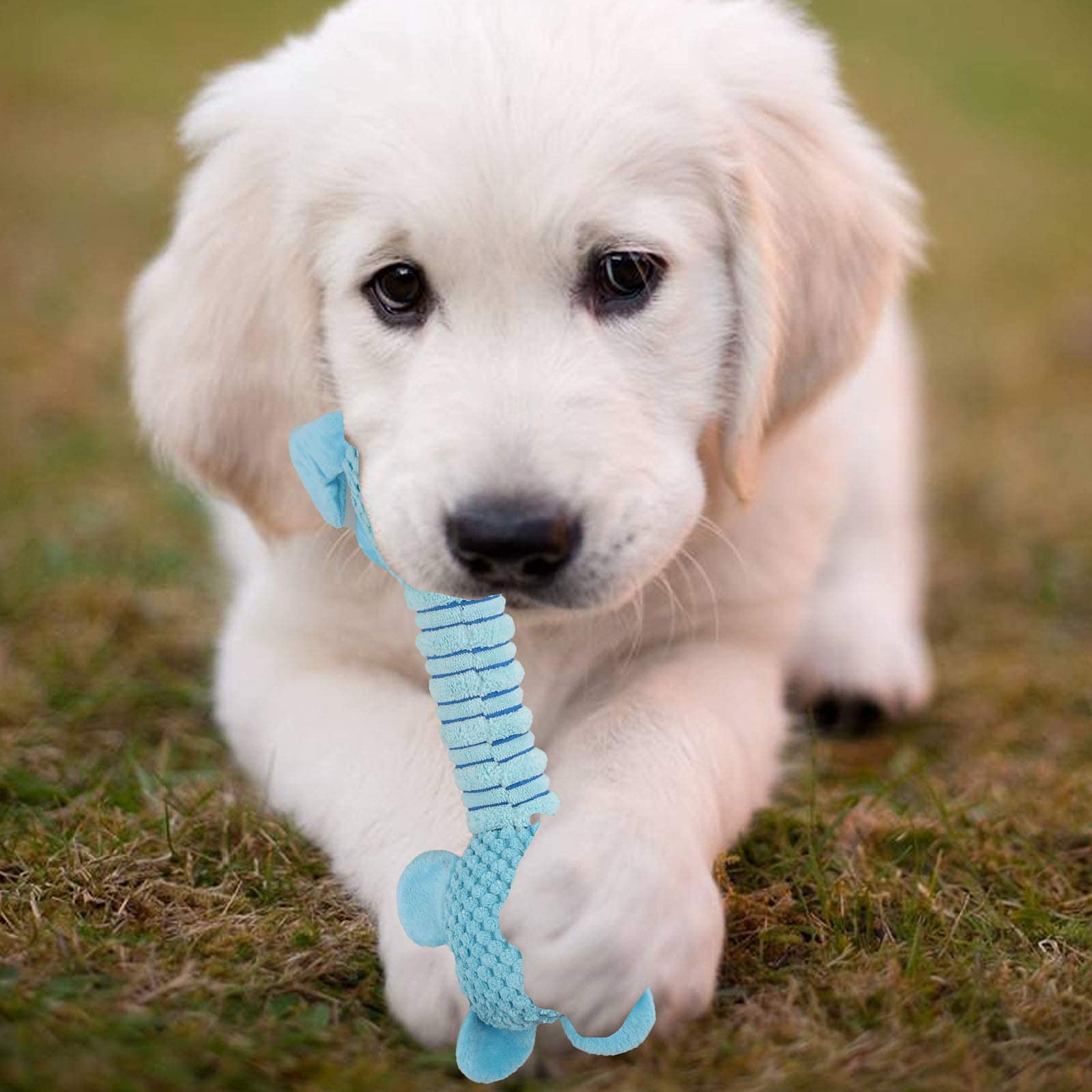 Qpets Plush Dog Toys with Long Neck Interactive Dog Squeaky Toys Durable Chew Toys for Teeth Cleaning Long Stuffed Animals Dog Training Toys Dog Soft Toy for Puppy Small Dogs (Blue Dog) Qpets Plush Dog Toys with Long Neck Interactive Dog Squeaky Toys Durable Chew Toys for Teeth Cleaning Long Stuffed Animals Dog Training Toys Dog Soft Toy for Puppy Small Dogs (Blue Dog)